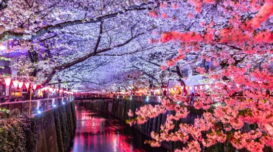 Follow the Olympic Torch Relay to Tokyo - Ehime - Day 1