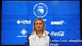 LARISA CERIĆ | SISTEMSKO FINANSIRANJE VRHUNSKOG SPORTA BOSNE I HERCEGOVINE