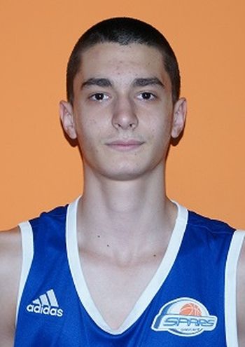 Nikola Mičić